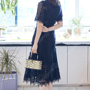 페이우 lace insert dress