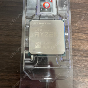 AMD 3600 10만