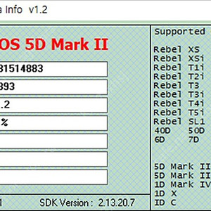 캐논 5d mark2 (오두막) 팝니다!