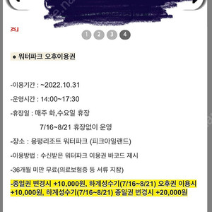 용평리조트 워터파크(오후권) 또는 애니포레 1매 팝니다..