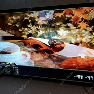 필립스 65.50 uhd 스마트 tv (신품)