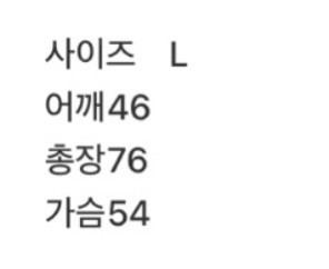 비비스튜디오 반팔셔츠 사이즈 L--3