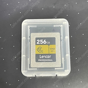 렉사 cfexpress B타입 256gb