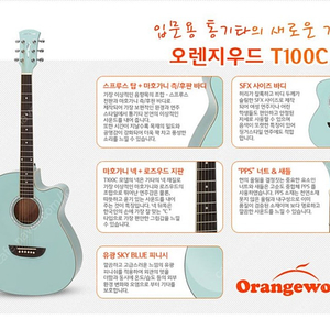 오렌지우드 기타 T100C SK (sky blue)를 구매하려고 합니다. 사용치 않아서 거의 새 것이면 최고가에 사겠습니다.