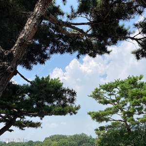 일산 아쿠아플라넷 티켓 팔아요