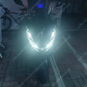 2022 pcx125 abs 신차급 5월등록3개월사용 가격다운