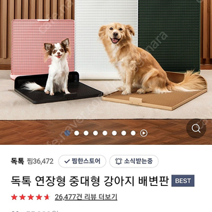 [새상품] 독톡 배변판 강아지배변판 배변패드