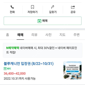 휘닉스평창 블루캐니언 티켓