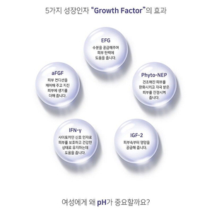 이너케어 베노뷰 씨크릿99 (실케어)