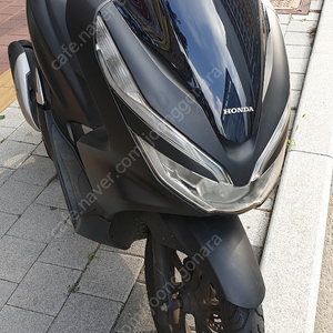 PCX 125CC 18년식 19년형 무사고