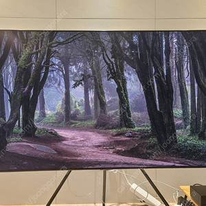 삼성(Samsung) 65인치(65inch) 4K 최고사양 TV /밀착벽걸이형/스마트TV/QLED 4K TV 팝니다.