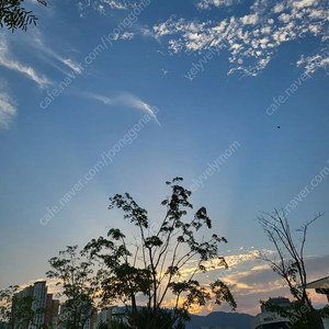 휘닉스파크 조식 온도레스토랑 티켓구해요.