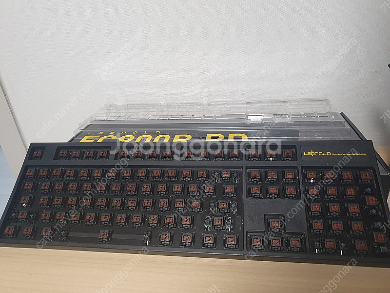 레오폴드 갈축--3