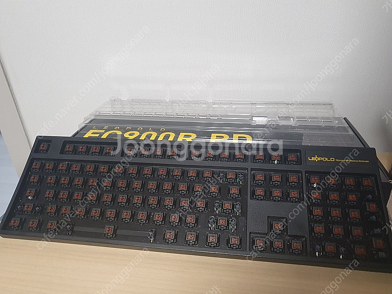 레오폴드 갈축--4