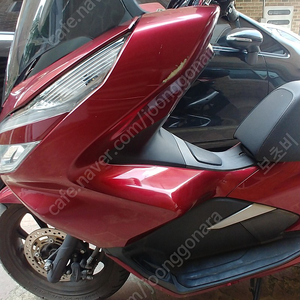 pcx125cc(19년)