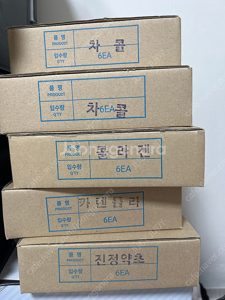 린제이 모델링 컵 팩--2