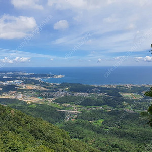 티니핑 부산 자리좋은곳 2자리구해요