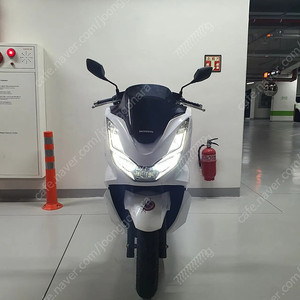 부산 2021 혼다 pcx 125 abs ㅍㅍ