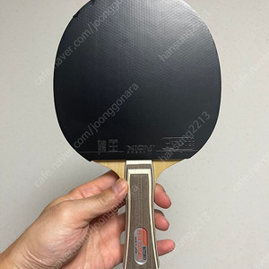 버터플라이 코르벨 FL 라켓 팝니다