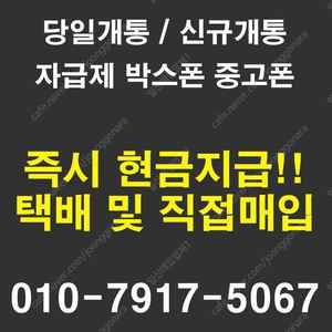 아이패드 프로 12.9인치/11인치/갤럭시탭 s8 울트라 당일매입!
