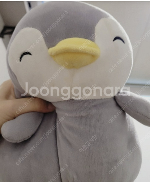 다이소 스마일 펭귄 인형을 구합니다.--0