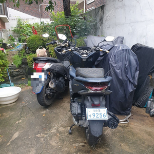 혼다 pcx125 2020년식 24159km 판매