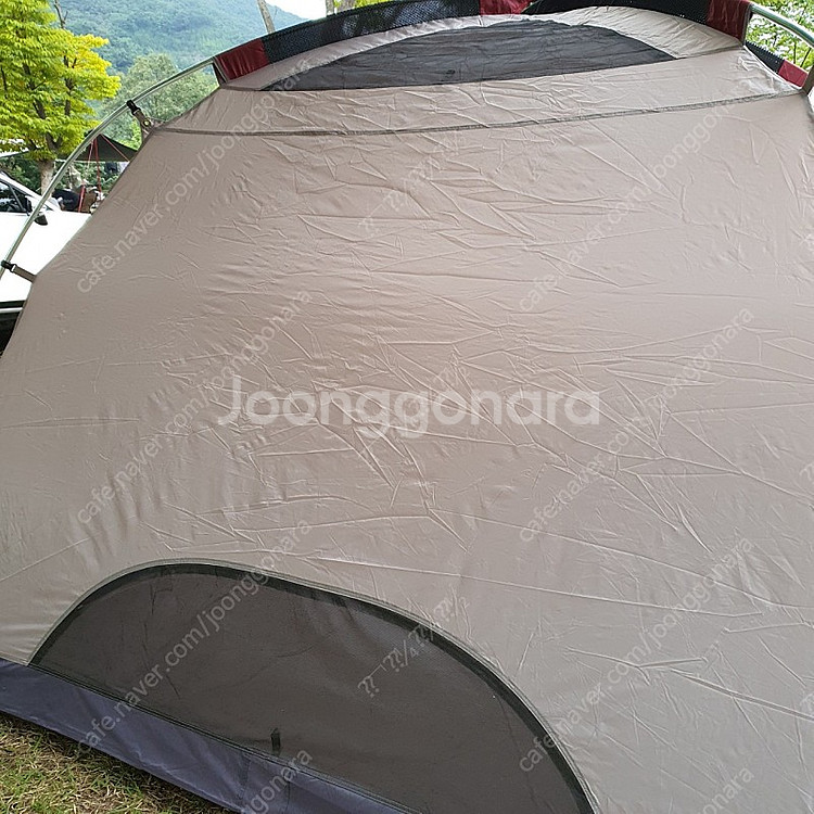 콜맨 아테나 D270 돔텐트--4