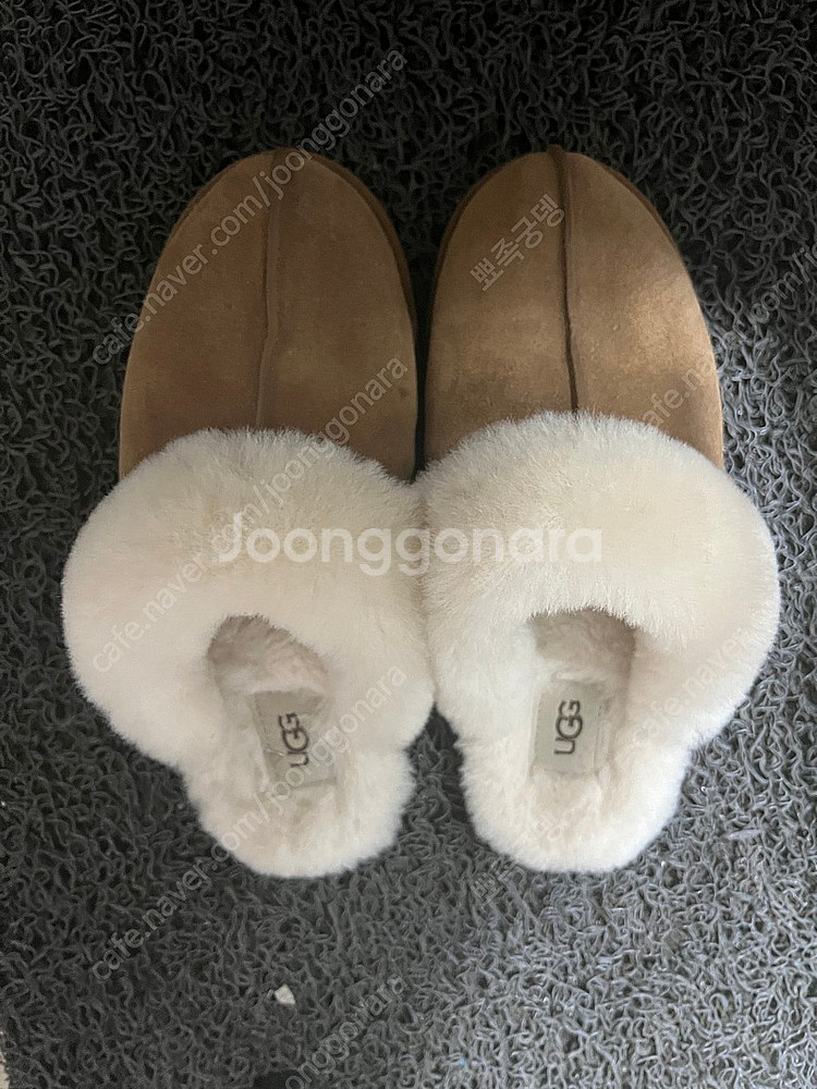 어그 쉽스킨(240)--1
