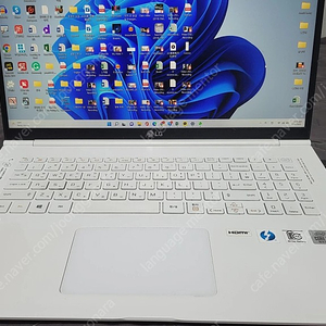 엘지 그램 17인치 i7 17Z995-VA70K 램 16G