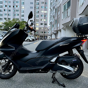 pcx125 21년식 짧은 키로수