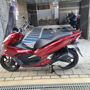 20년식 pcx 170만원 판매합니다