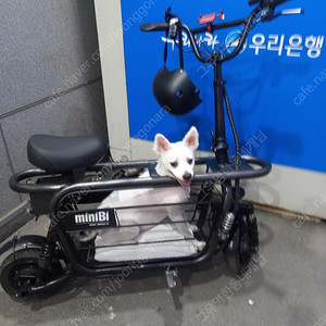 미니비 듀얼