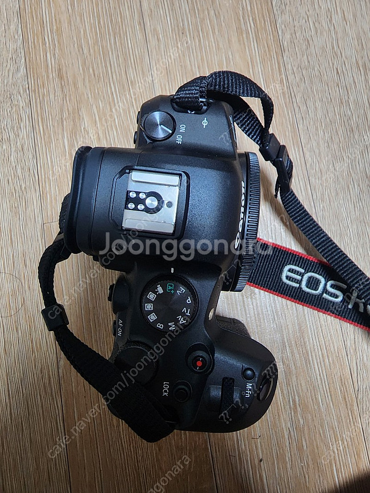EOS-R6 팜니다--1