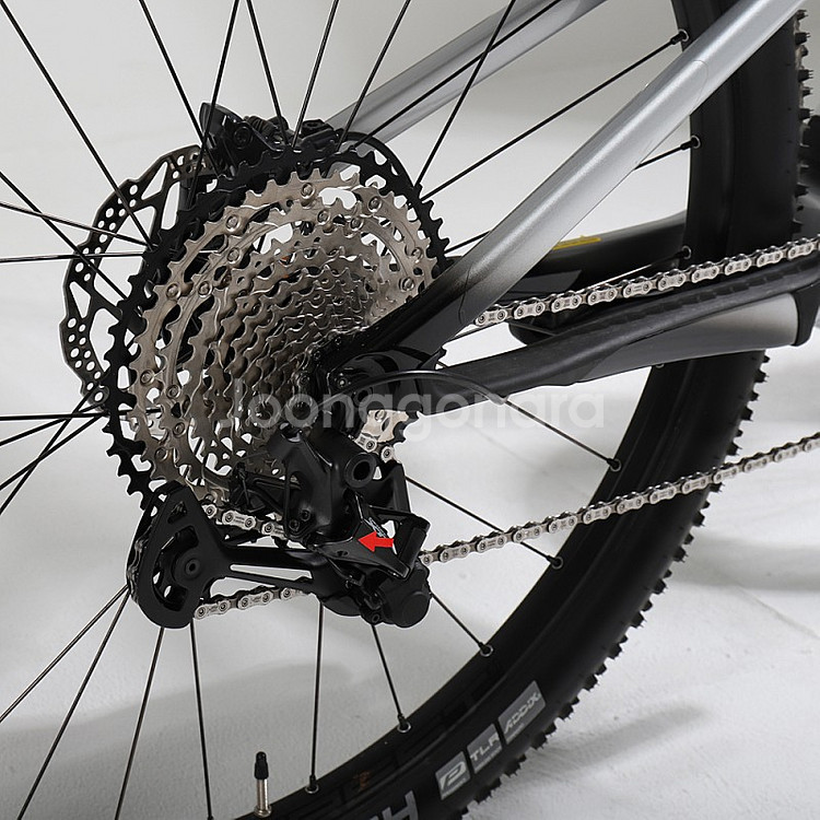 캐논데일 2021 Scalpel Carbon 3[M] ...--1