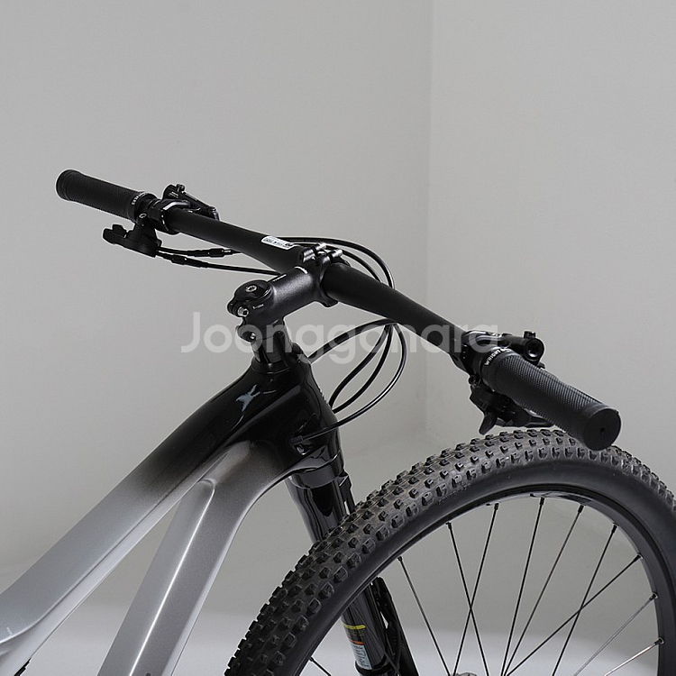 캐논데일 2021 Scalpel Carbon 3[M] ...--5