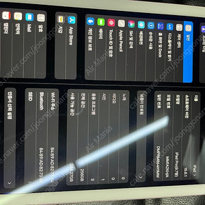 아이패드 프로 9.7 256GB 와이파이 교환원합니다.
