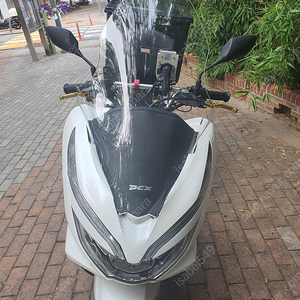 19년식 올뉴 pcx125 힌둥이