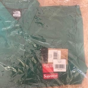 슈프림 노스페이스 트레킹 셔츠 Supreme x The North Face Trekking S/S Shirt Dark Green - 22SS