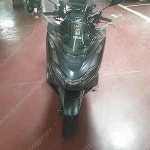 (가격다운)혼다 21년식 pcx 125cc 155xx km 팝니다 350️330️320