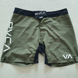 주짓수 rvca 파이트 쇼츠