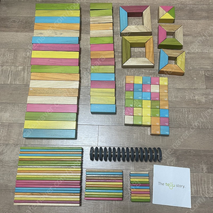 테구 원목 자석 블록 (tegu magnetic wooden block set tints)