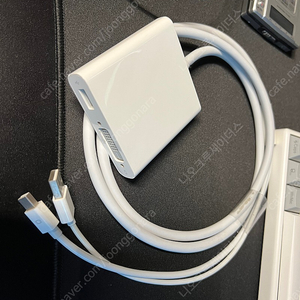 Apple Mini DisplayPort-Dual-Link DVI 어댑터