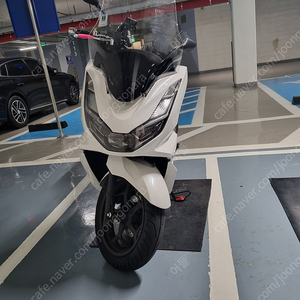 신차급 Pcx125 22년식 Abs차량 판매합니다