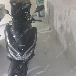 Pcx125 20년식 55000+