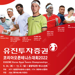 ATP 남자 테니스 코리아오픈 , 결승 티켓 연석삽니다. 2장