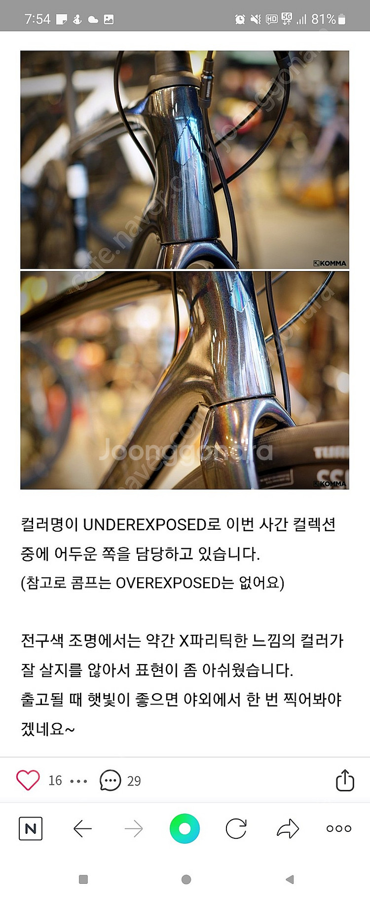 피터사간에디션 루베콤프--4