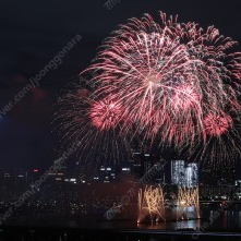 여의도 불꽃축제 골든티켓 2매 구합니다