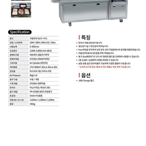 스킨진공포장기 컨베이어형