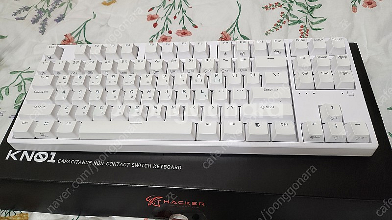 앱코 KN01 무접점 텐키리스 키보드 화이트 55g--0