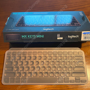 로지텍 mx keys mini + 로지볼트 수신기 + 키스킨